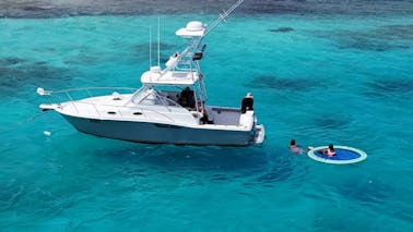 Bateau de plongée avec tuba et de fête le plus confortable 