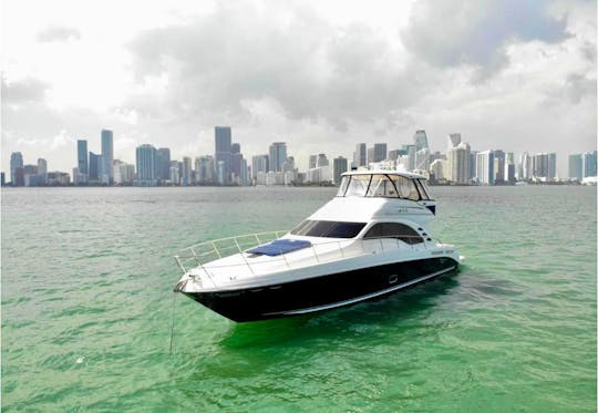 Experience Miami with Sea Ray 60ft Flybridge Yacht !!!
