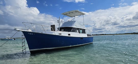 Classic 1979 Mainship Trawler guided river cruise adventure 