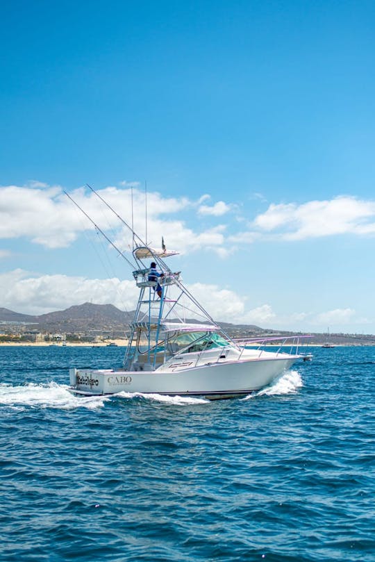 Magnifique yacht Cabo de 42 pieds pour la croisière et la pêche sportive à Los Cabos
