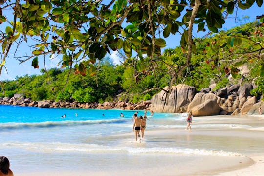 From Mahe to Praslin and Ladigue x2 Islands Tour 