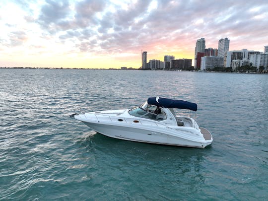 Scenic Miami Boat Tour: Skyline & Celebrity Homes ⚓️|SeaRay 37" Champagne🍾🥂