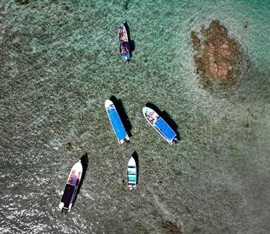 Ride on Nicoya Gulf and Isla Tortuga in Costa Rica