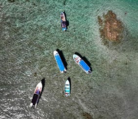 Passeio privado no Golfo de Nicoya e na Isla Tortuga na Costa Rica $280