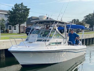 Gulfstream branco Grady de 23 pés com duas Yamaha F150