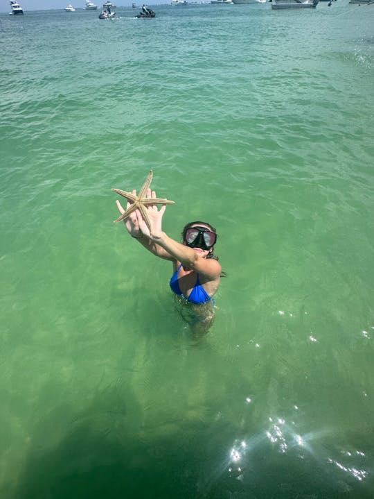 23' de diversão na ilha! Ilhas* bancos de areia* mergulho com snorkel* cruzeiro