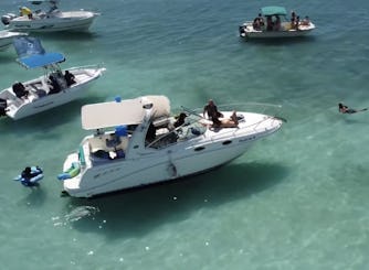 Sea Ray Sundancer 28' for up to 8 guests at Lajas