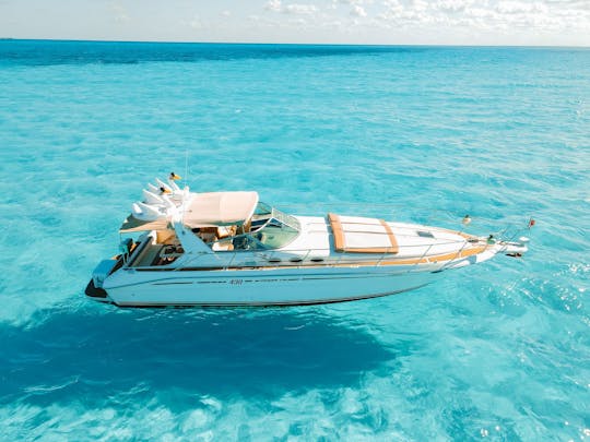 Superbe yacht Sea Ray de 43 pieds avec les meilleurs équipements en mer.