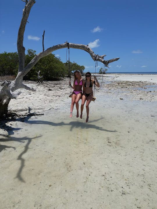 Novos bares de areia salgada SeaRay 250 SDX em Key West  