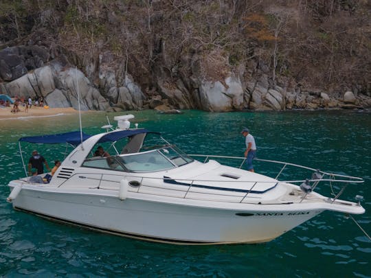 SANTA ELISA | Yacht à moteur Nice Sea Ray de 36 pieds pour la croisière 