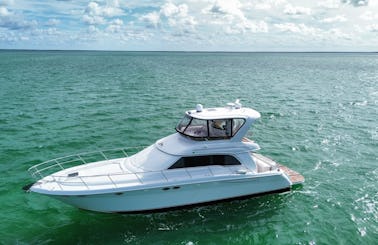 55' Sedan FlyBridge 🛥 || Incredible Luxury Yacht In Miami!