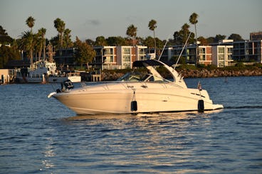 Fast and Furious Ride To Catalina Island