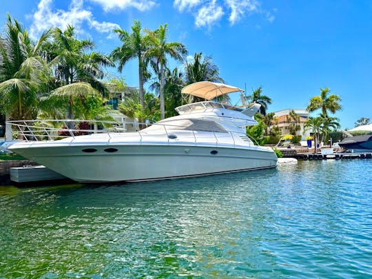 Disfrute navegando por la costa de Montego Bay en un yate Searay de 46 pies 