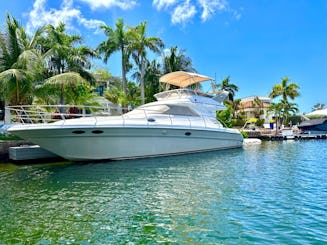 Profitez d'une croisière sur la côte de Montego Bay à bord d'un yacht Searay de 46 pieds 