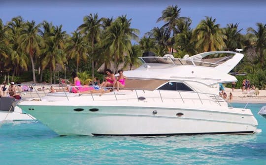 Private 46ft Sedan Bridge Motor Yacht In Cancún Quintana Roo