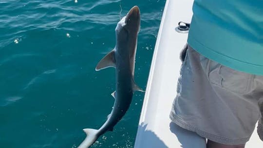 Embarquez pour une sortie de pêche avec SeaHunt 22 pieds CC en ramassant le gros !