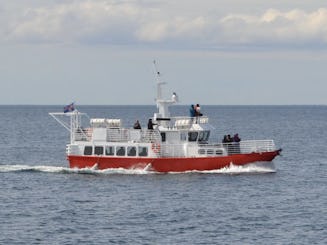 Un navire d'aventure polyvalent pour la pêche en mer et les excursions sur la faune