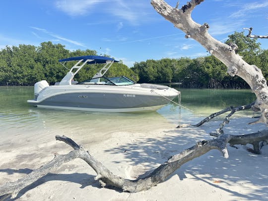 Novos bares de areia salgada SeaRay 250 SDX em Key West  