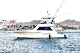 Viking 44 Sport Fish Motor Yacht in Cabo San Lucas Day Fishing