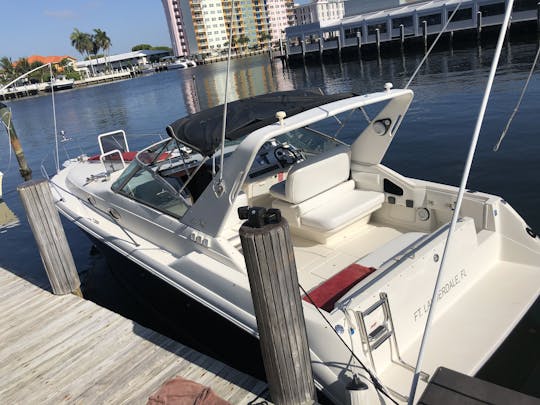 Sol, diversão e relaxamento: Sea Ray Intercoastal Charter de 33 pés