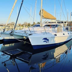 50' Custom Royal Cape luxury sailing catamaran