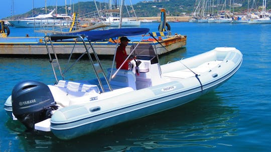 Rigid Inflatable Boat Predator 7.3m 24ft for rent in Forio, Ischia