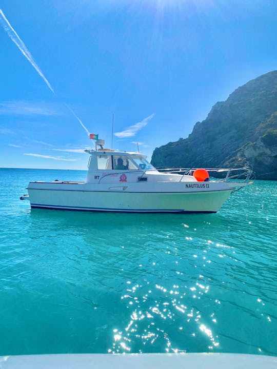 Sesimbra: Private Fishing Experience