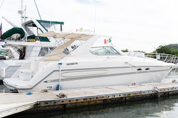 Maxum 39ft Yacht- La Doña