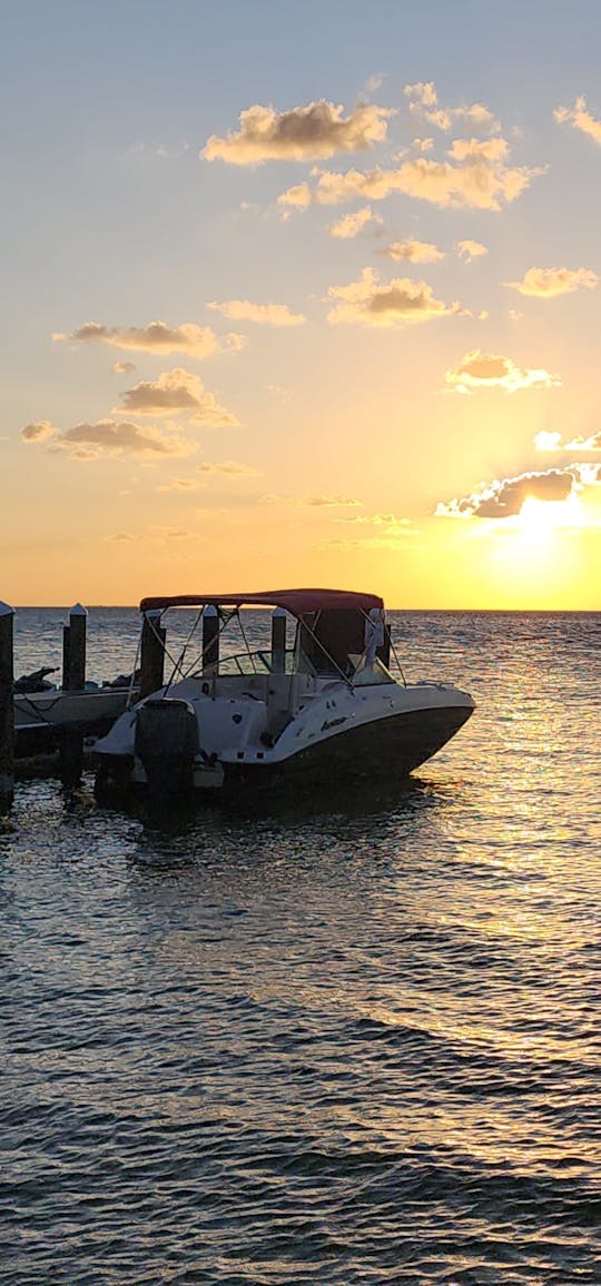 🚤 Alquile este barco con cubierta para huracanes de 24 pies: su clave para una aventura isleña en Key West