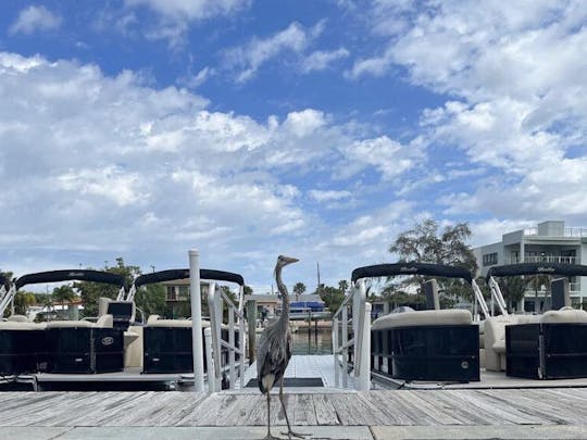 Pontons Bentley de 23 pieds à Punta Gorda, en Floride