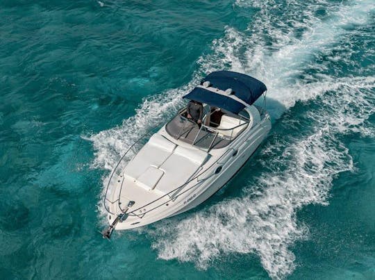 Pretty 32ft Sea Ray Sundancer Yacht in Cancun 