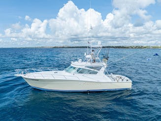 Bateau viking de 43 pieds - Bateau élégant et puissant, idéal pour la pêche et la plongée avec tuba