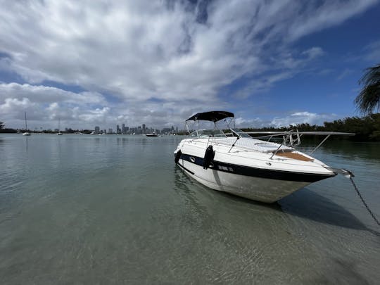 Breathtaking Skyline Boat Tour Day&Night