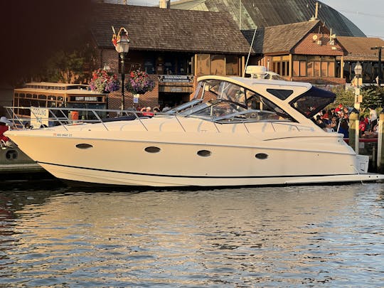 Private Yacht Charter: On 40ft Regal Commodore