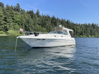 Cruise the Lake in Style - 36’ Searay Sundancer 