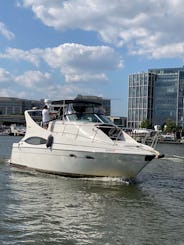 Monumental Cruiser | Yacht privé de luxe Carver de 37 pieds pour 12 passagers