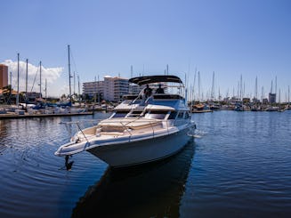 Aluguer de iates e viagens de pesca esportiva de luxo em Sea Ray de 46 pés