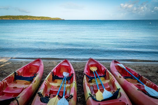 Snorkeling & Kayak Mini Eco-Experience