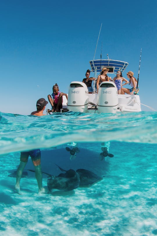 Alquiler de barcos privados, esnórquel, Stingray City, Starfish Point