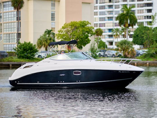 ¡Sea Ray 260! ¡Bienvenido a la jungla!