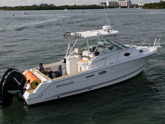 Cruise Miami in Style with Wellcraft 290 Coast