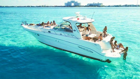 Sea Ray 46ft Motor Yacht for Charter in Cancun