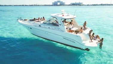 Sea Ray 46ft Motor Yacht for Charter in Cancun