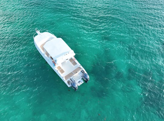 Excursión privada de día completo (Baie Ternay) en barco al parque marino Todo incluido