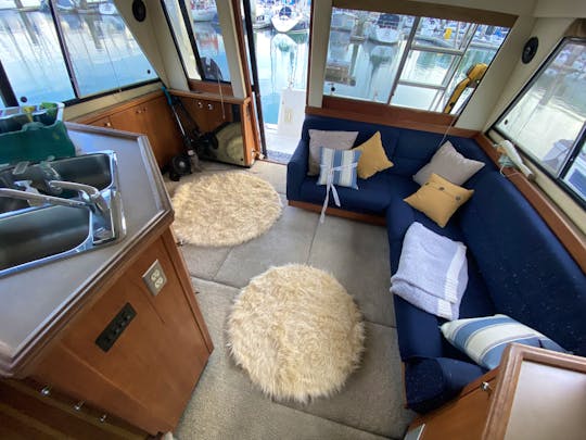 Comfortable cruiser on San Francisco Bay