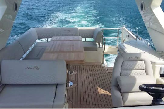 L55 Sea Ray Luxury Private Yacht in Nuevo Vallarta