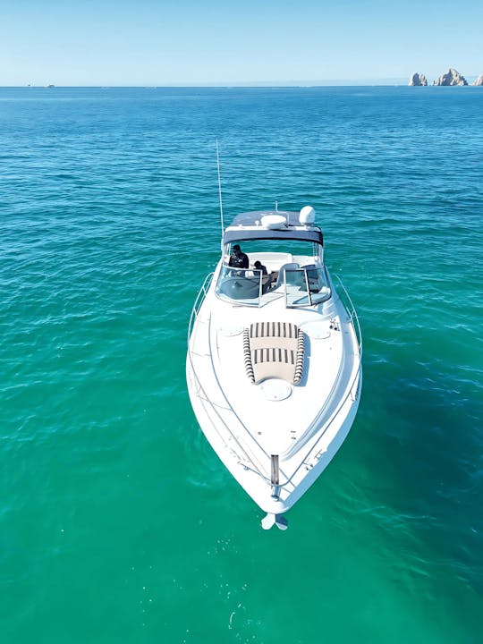 Your Own 40ft Private Yacht in Cabo – Snorkeling, Crew & Open Bar!