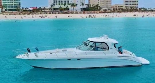 Exclusive Giant 60ft Sundancer Motor Yacht In Cancún, Quintana Roo