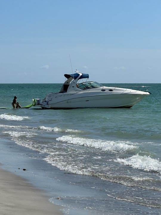 Sea Ray 320 Ubicado en el centro de Tampa en The Pointe Marina at Jackson's 