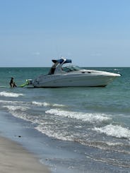 Sea Ray 320 au centre-ville de Tampa pouvant accueillir jusqu'à 10 personnes